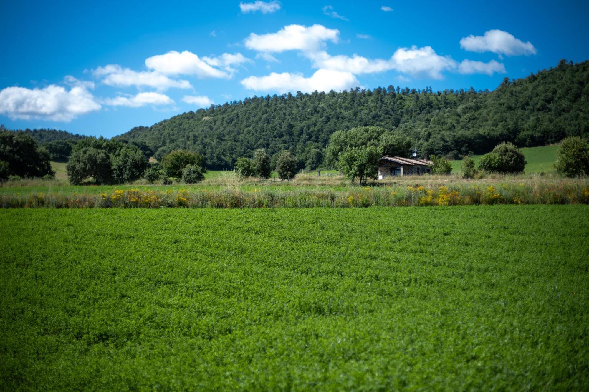 Agri Relais Il Poderaccio Di Bolsena Eksteriør bilde