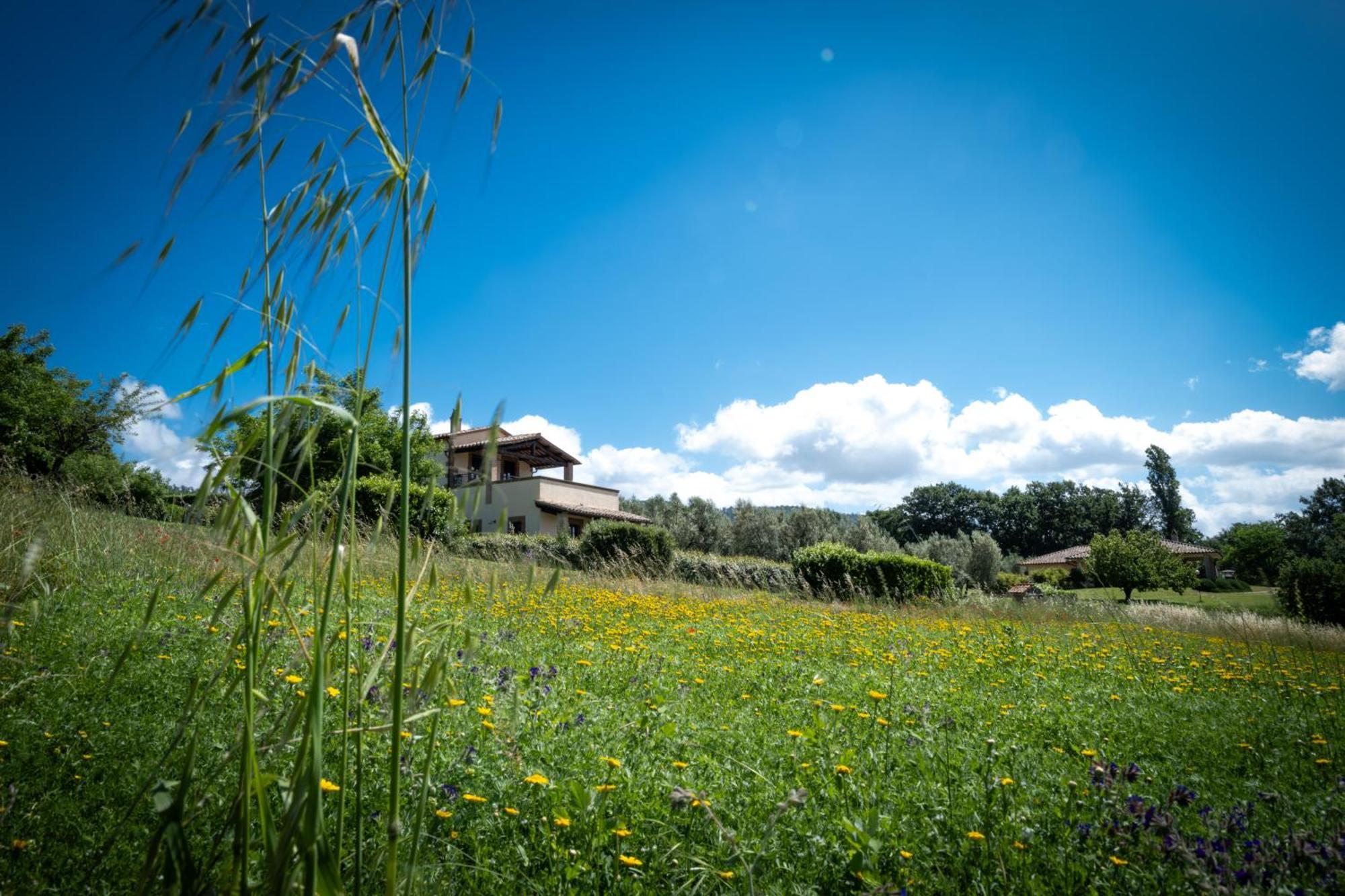 Agri Relais Il Poderaccio Di Bolsena Eksteriør bilde