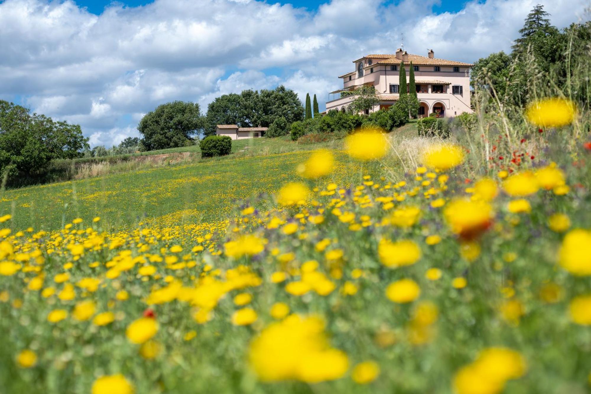 Agri Relais Il Poderaccio Di Bolsena Eksteriør bilde