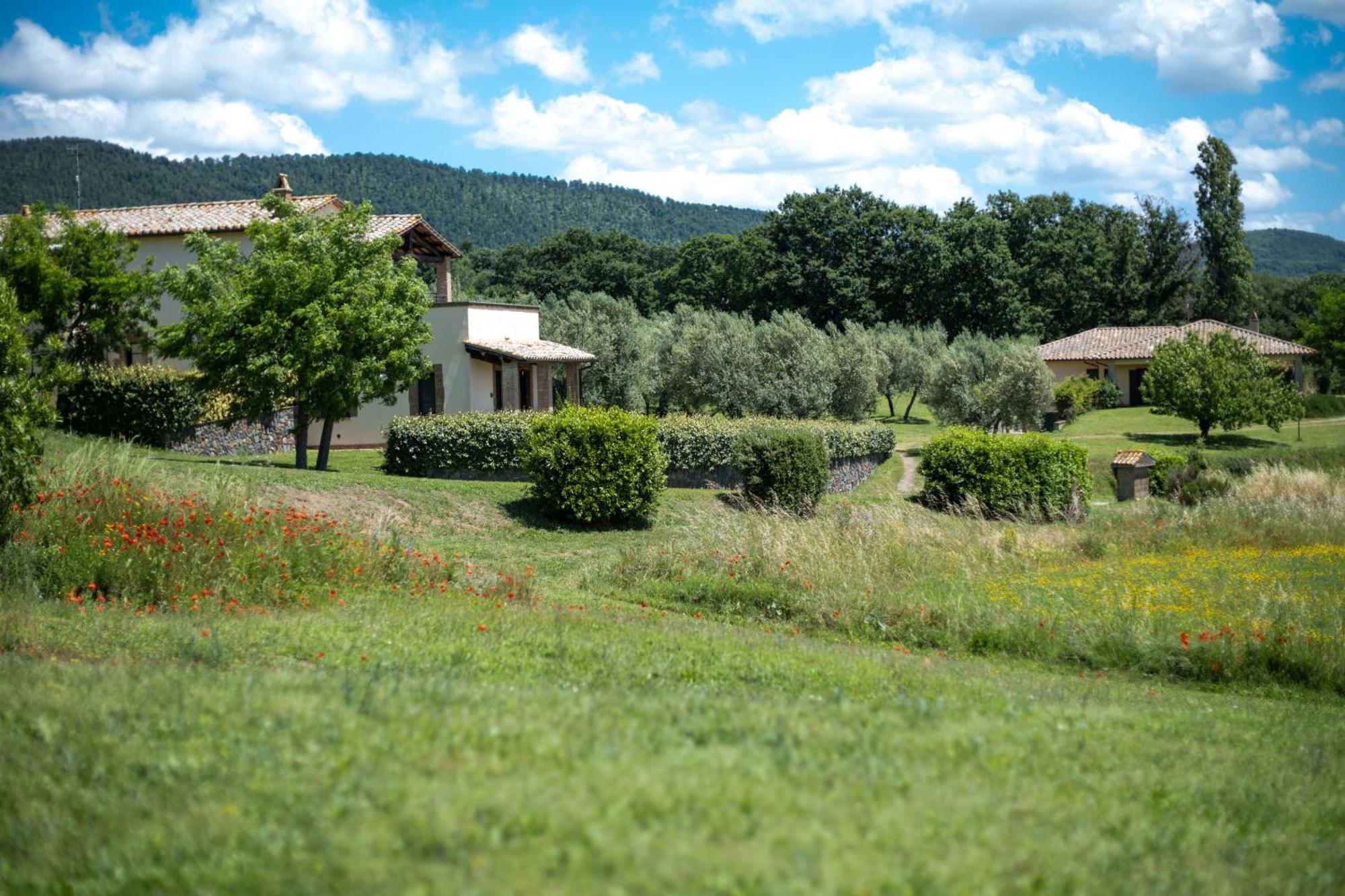 Agri Relais Il Poderaccio Di Bolsena Eksteriør bilde